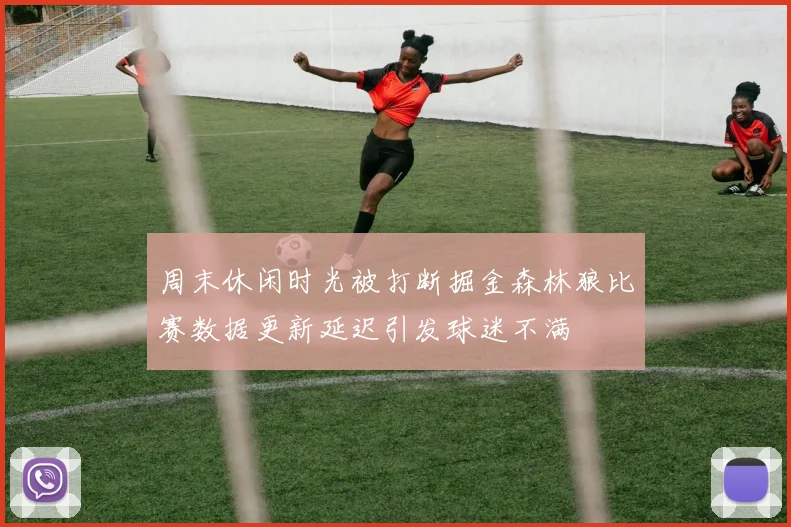 周末休闲时光被打断掘金森林狼比赛数据更新延迟引发球迷不满