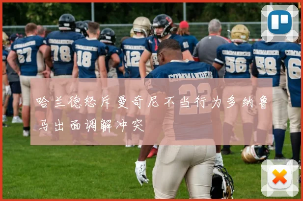 哈兰德怒斥曼奇尼不当行为多纳鲁马出面调解冲突