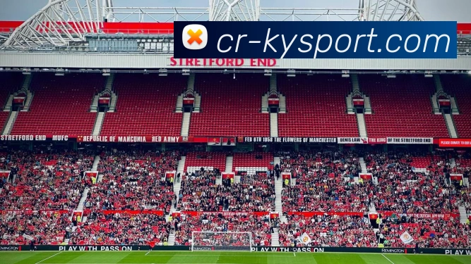 开云足球APP 封面图